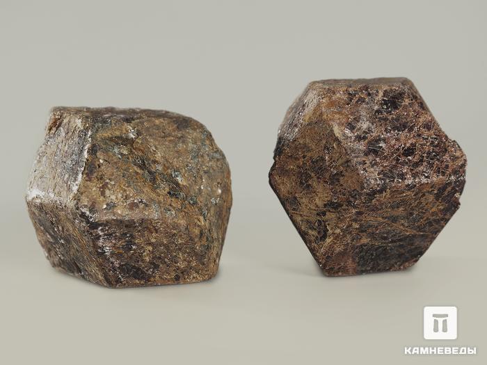 Гранат (альмандин), кристалл 2,5-3,5 см, 10-158/45, фото 2