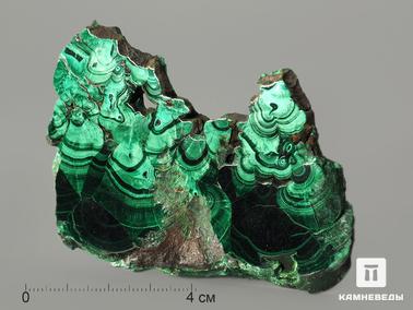 Малахит. Малахит, полированный срез 8,6х6,5х0,7 см