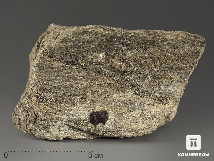 Альмандин (гранат), кристалл в сланце 6,9х4,7х2,3 см, 8712, фото 1