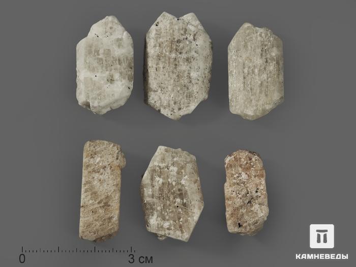 Санидин, кристалл 2-3 см, 8638, фото 1