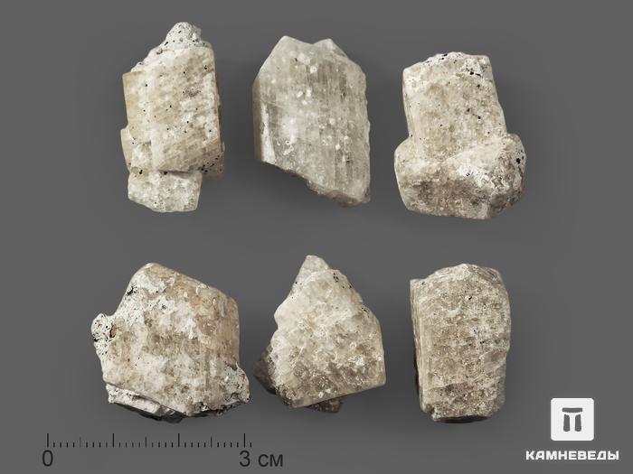 Санидин, кристалл 2,5-3 см, 8639, фото 1