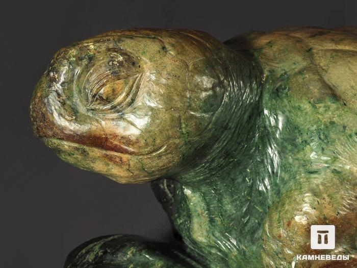 Черепаха из нефрита, 55х35х32,5 см, 8807, фото 3