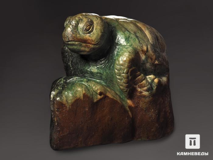 Черепаха из нефрита, 55х35х32,5 см, 8807, фото 5
