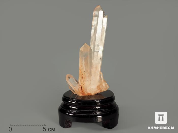 Горный хрусталь (кварц), сросток кристаллов на деревянной подставке 17,6х9,3х9 см, 8781, фото 1