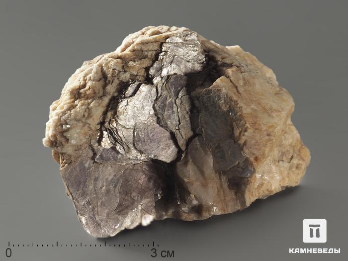 Масутомилит, 6-7 см, 5509, фото 4