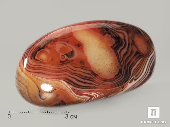 Агат мадагаскарский, полированная галька 6-8 см (120-140 г), 8799, фото 1