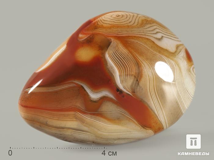Агат мадагаскарский, полированная галька 6,5-9,5 см (140-160 г), 8800, фото 2