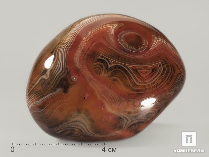 Агат мадагаскарский, полированная галька 5-8 см (160-180 г), 8801, фото 2