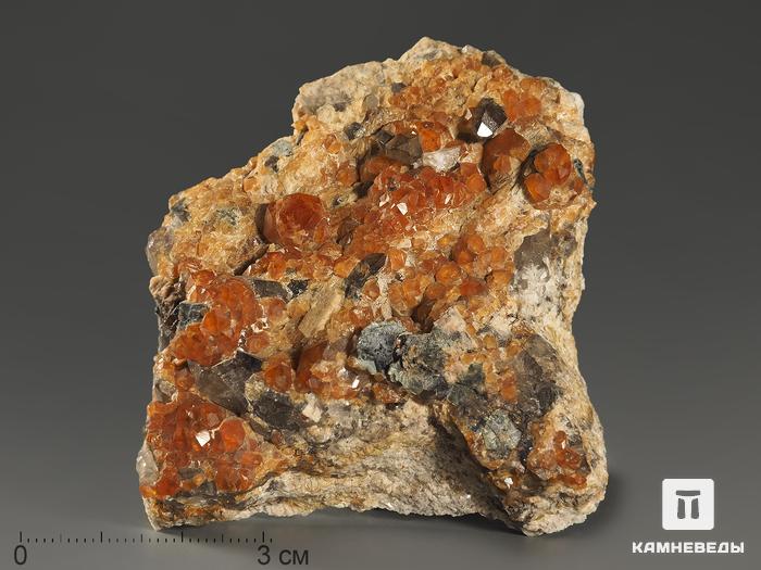 Спессартин (гранат), кристаллы на граните 7,3х6,4х2,8 см, 10-158/25, фото 1