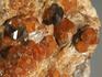 Спессартин (гранат), кристаллы на граните 7,3х6,4х2,8 см, 10-158/25, фото 2