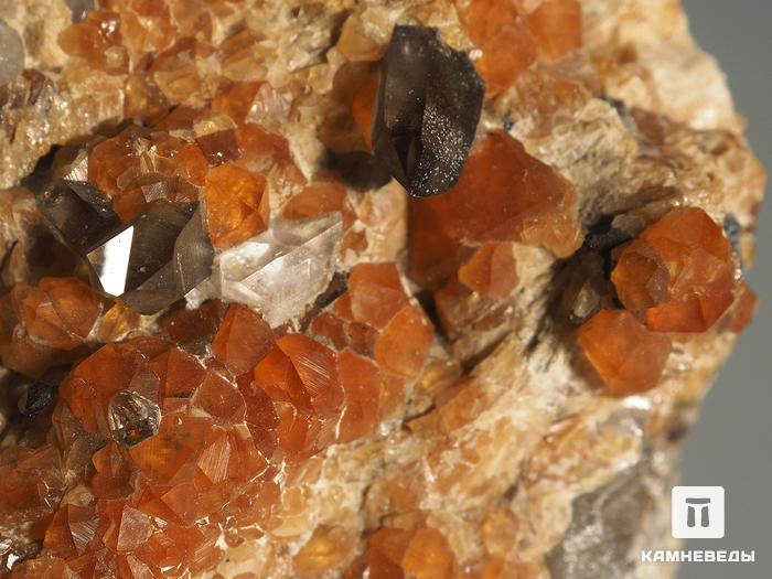 Спессартин (гранат), кристаллы на граните 7,3х6,4х2,8 см, 10-158/25, фото 2