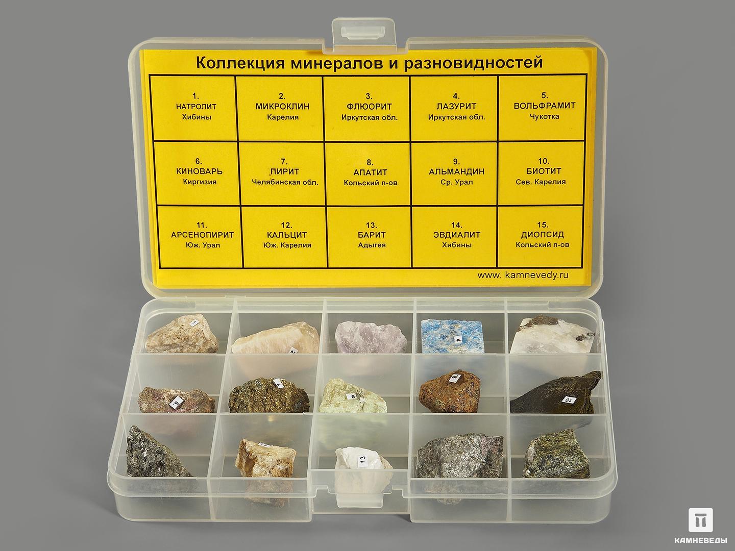 Коллекция минералов и разновидностей (15 образцов, состав №11) коллекция минералы россии в деревянной коробке 15 образцов состав 5