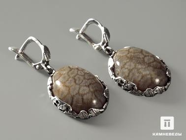 Кораллы. Серьги с окаменелым кораллом