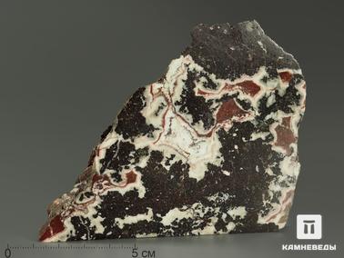Ензорит. Ензорит, полированный срез 12,7х8,5х1,8 см