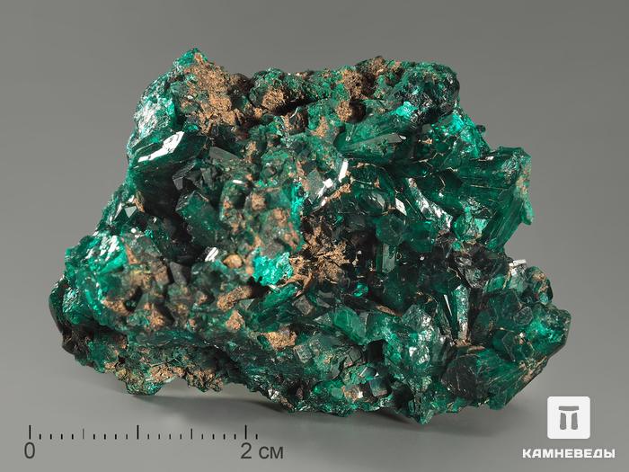 Диоптаз, 4,9х3,4х1,6 см, 10-55/37, фото 1