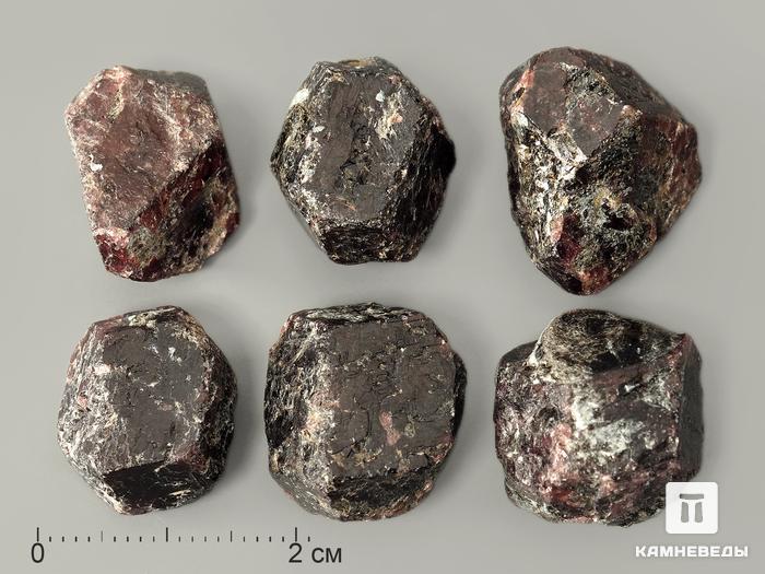 Гранат (альмандин), кристалл 1,5-2 см, 10-158/1, фото 1