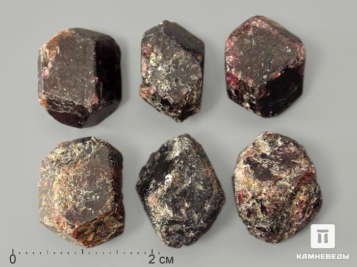 Гранат (альмандин), кристалл 1,5 см, 10-158/3, фото 1