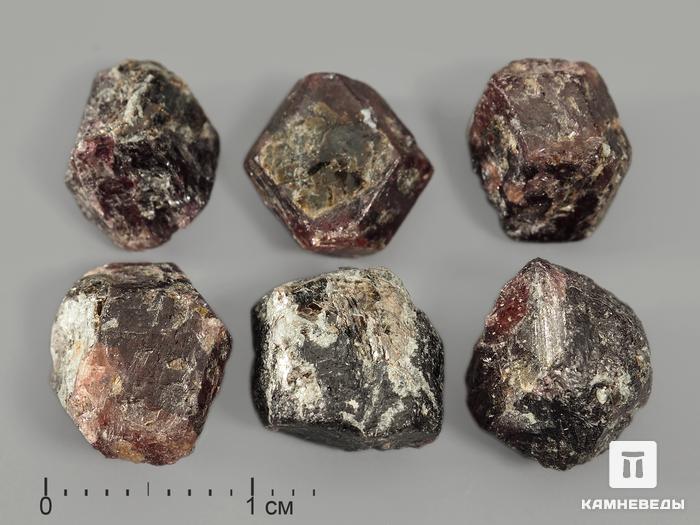 Гранат (альмандин), кристалл 0,5-1 см, 8670, фото 1