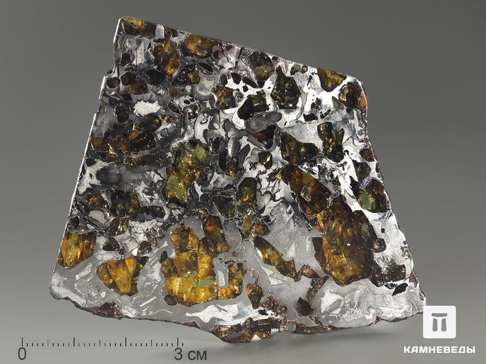Метеорит «Сеймчан» с оливином, пластина 7,6х6х0,3 см (58,9 г), 9060, фото 1