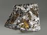 Метеорит «Сеймчан» с оливином, пластина 7,6х6х0,3 см (58,9 г), 9060, фото 2