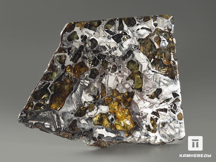 Метеорит «Сеймчан» с оливином, пластина 7,6х6х0,3 см (58,9 г), 9060, фото 2