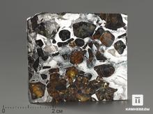 Метеорит «Сеймчан» с оливином, пластина 4,2х3,8х0,3 см (24,2 г)