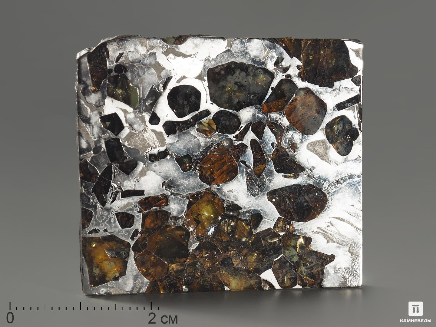 Метеорит «Сеймчан» с оливином, пластина 4,2х3,8х0,3 см (24,2 г) кулон метеорит сеймчан 3 4х2х0 2 см