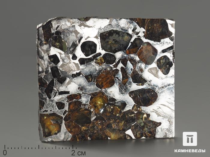 Метеорит «Сеймчан» с оливином, пластина 4,2х3,8х0,3 см (24,2 г), 9058, фото 1