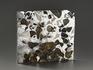 Метеорит «Сеймчан» с оливином, пластина 4,2х3,8х0,3 см (24,2 г), 9058, фото 2
