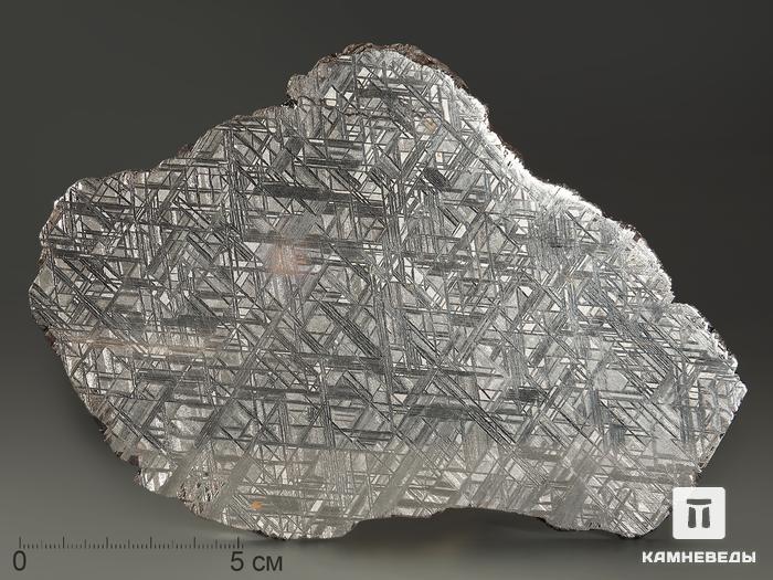 Метеорит Muonionalusta, пластина 16х11,5х0,3 см (281 г), 9062, фото 1