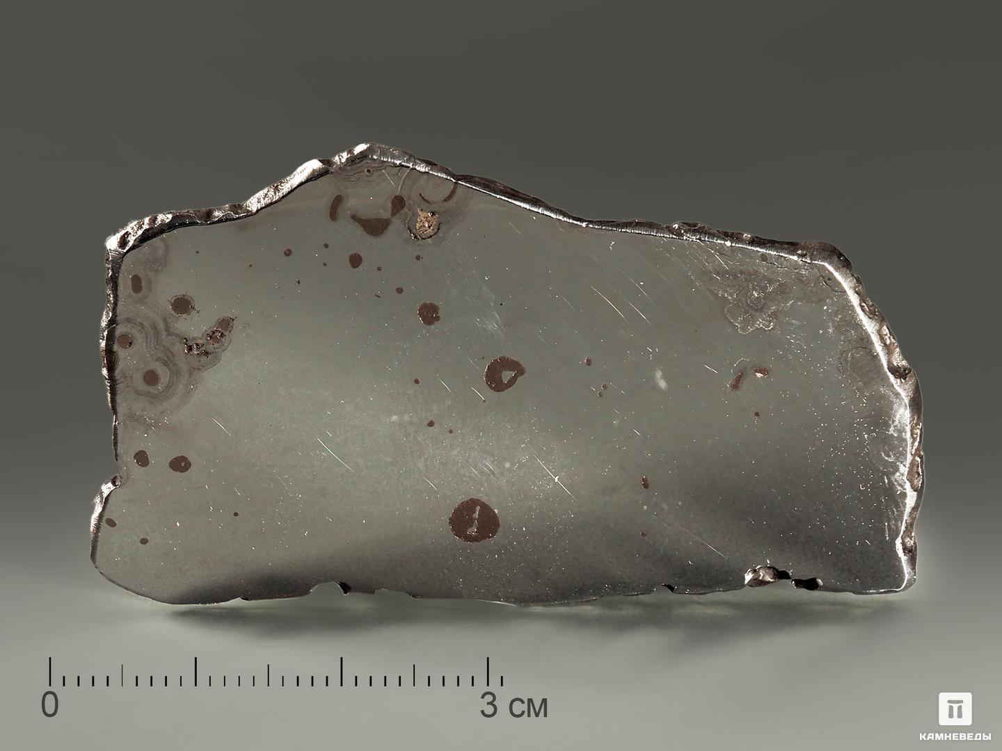 Метеорит Дронино, пластина 6х3,4х0,2 см (22,3 г) железный ганс