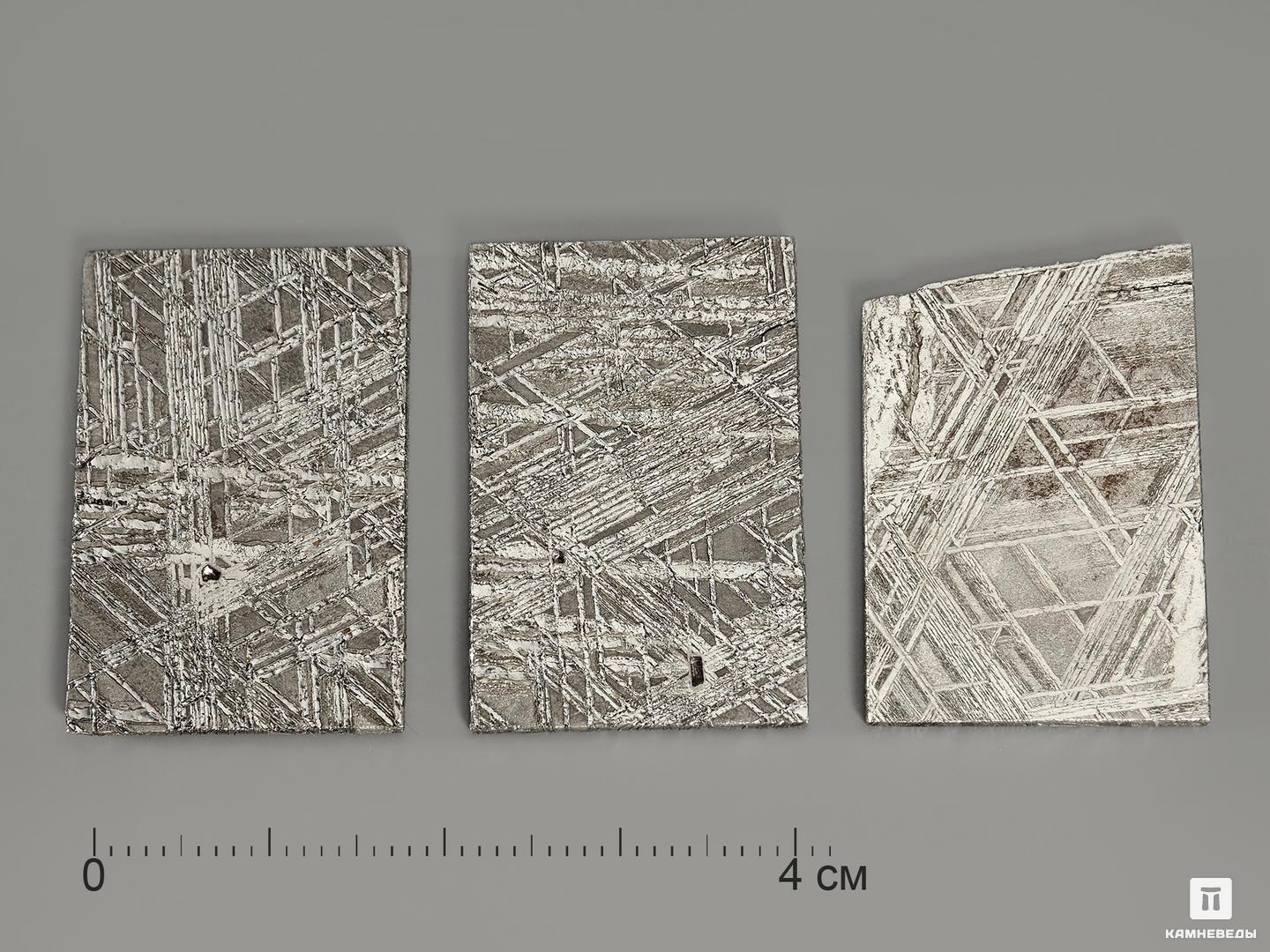 Метеорит Muonionalusta, пластина 3-3,5 см (5,5-6 г), 9244, фото 3