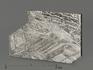Метеорит Muonionalusta, пластина 3-3,5 см (6-6,5 г), 9241, фото 3