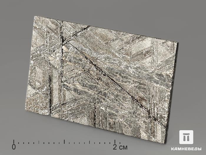 Метеорит Muonionalusta, пластина 3-3,5 см (6-6,5 г), 9241, фото 1