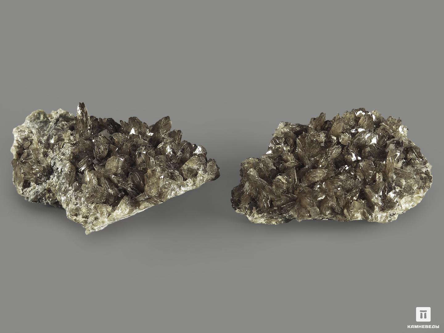 Аксинит-(Fe), 6х4,3х2,5 см, 9117, фото 2
