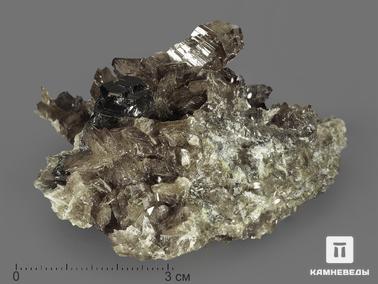 Аксинит-(Fe), Сфалерит, Аксиниты. Аксинит-(Fe) с кристаллом сфалерита, 5х4х2,5 см