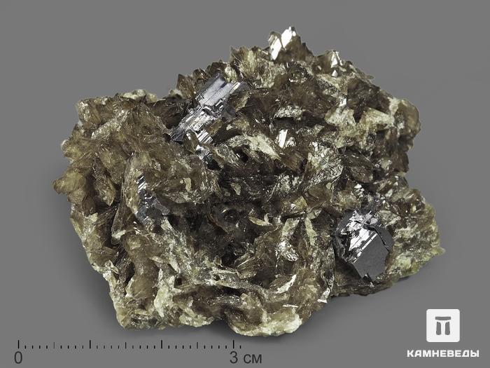 Аксинит-(Fe) с кристаллами галенита, 5,7х5,1х3,2 см, 9115, фото 1