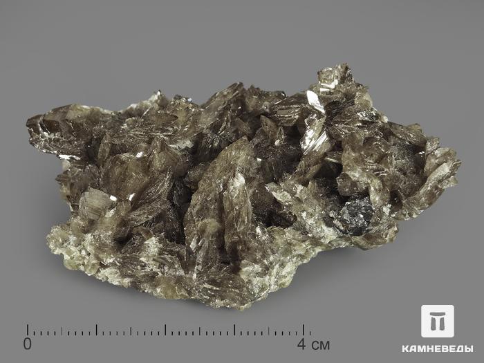 Аксинит-(Fe), 4-5,5 см, 9120, фото 1