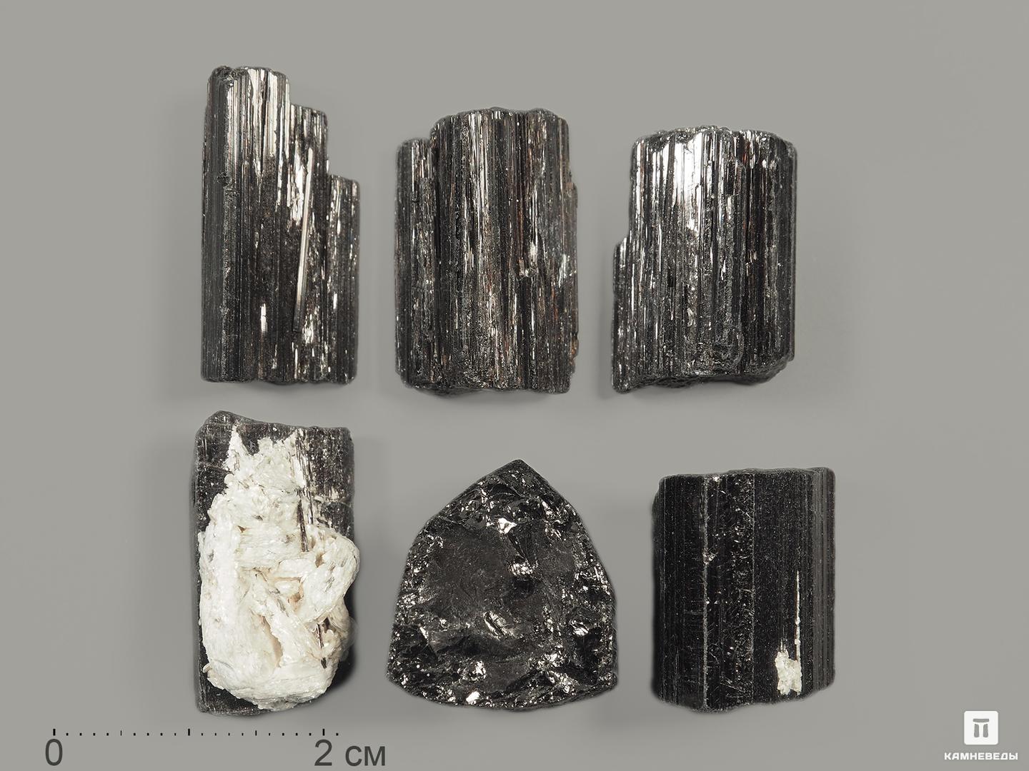 Шерл (турмалин), кристалл 1,5-2 см, 9213, фото 1