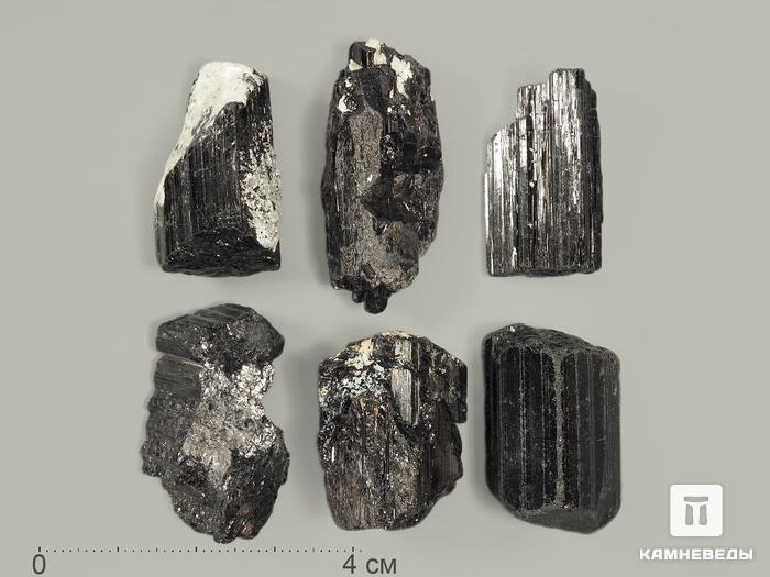 Шерл (турмалин), кристалл 2-3 см, 9212, фото 1