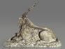 Мархур (винторогий козёл) из ангидрита, 26х19,5х8 см, 9343, фото 2