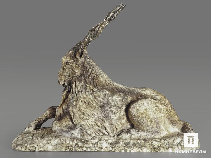 Мархур (винторогий козёл) из ангидрита, 26х19,5х8 см, 9343, фото 2