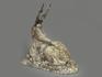 Мархур (винторогий козёл) из ангидрита, 26х19,5х8 см, 9343, фото 3