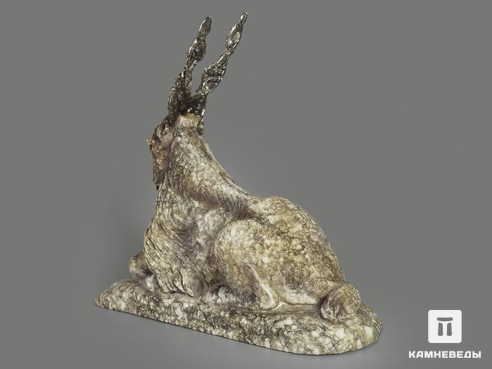 Мархур (винторогий козёл) из ангидрита, 26х19,5х8 см, 9343, фото 3