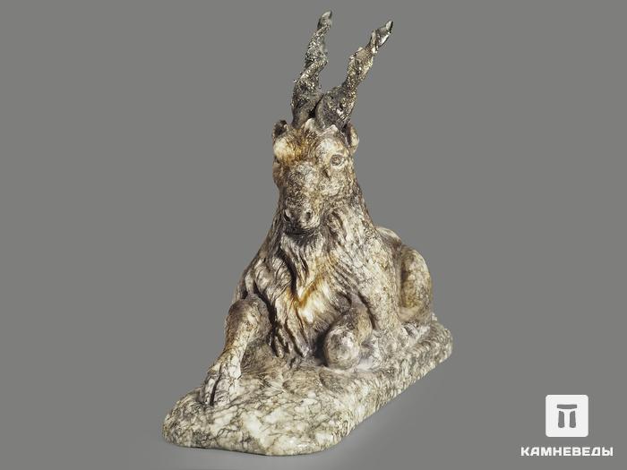 Мархур (винторогий козёл) из ангидрита, 26х19,5х8 см, 9343, фото 4