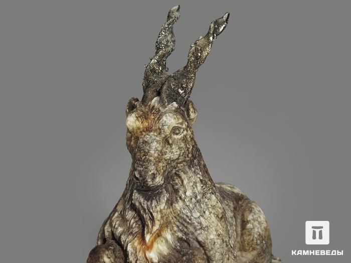 Мархур (винторогий козёл) из ангидрита, 26х19,5х8 см, 9343, фото 5
