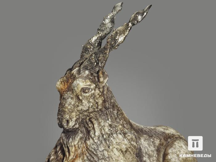 Мархур (винторогий козёл) из ангидрита, 26х19,5х8 см, 9343, фото 6