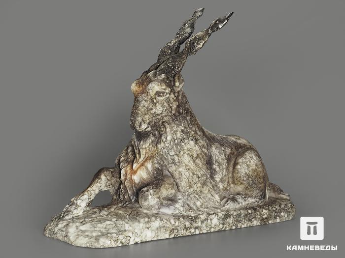 Мархур (винторогий козёл) из ангидрита, 26х19,5х8 см, 9343, фото 1