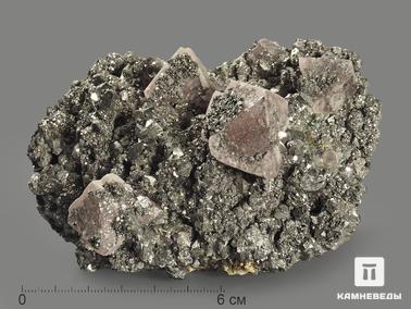 Флюорит, Арсенопирит. Кристаллы розового флюорита на арсенопирите, 11х8,4х5,9 см