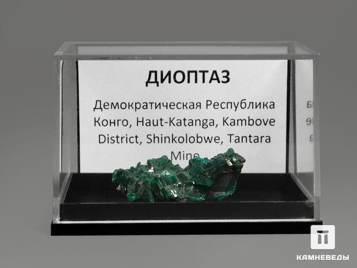 Диоптаз в пластиковом боксе, 3,1х2,1х1,1 см, 10-55/61, фото 2